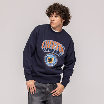 College Crewneck Sweatshirt